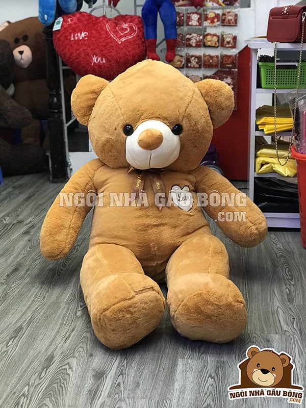 gấu teddy 1m5