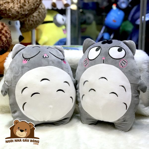 Totoro Biểu Cảm