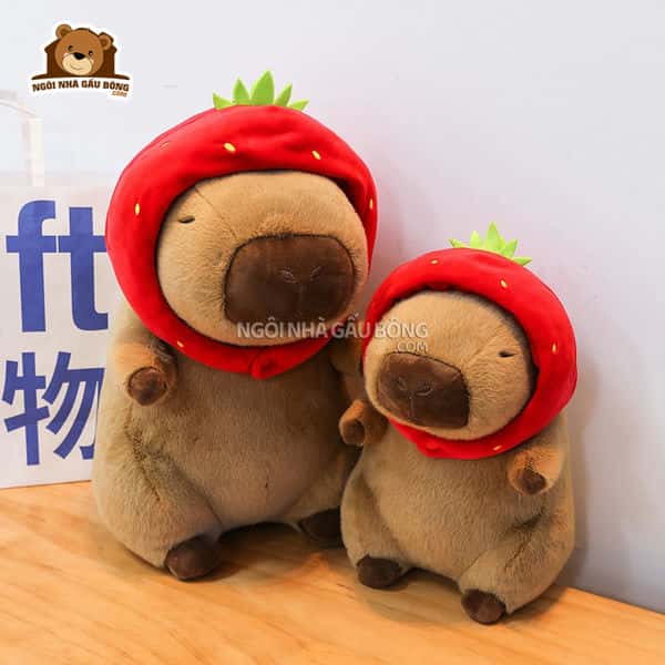 Chuột Capybara Đội Mũ Dâu
