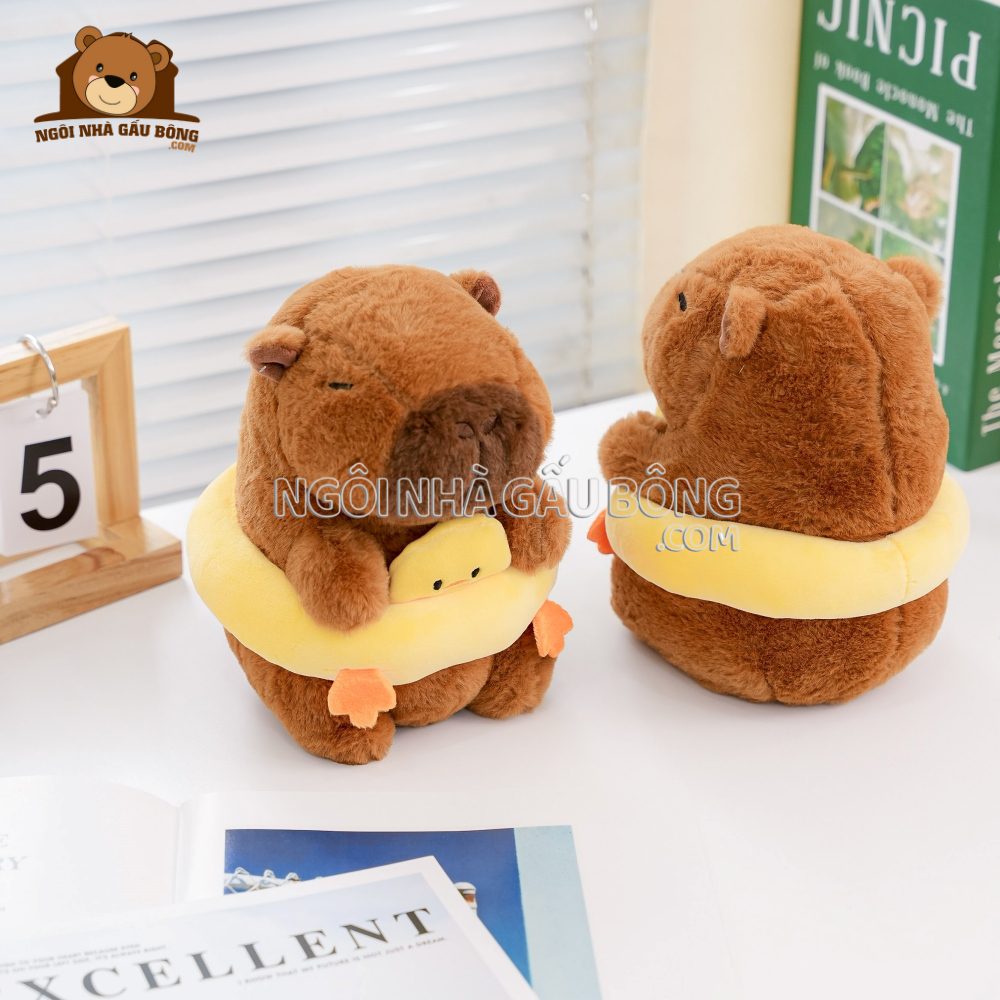 Chuột Capybara Đeo Phao Nhỏ