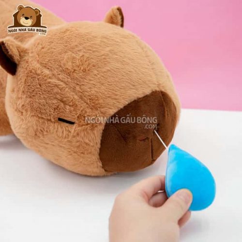 Capybara Nước Mũi Nằm