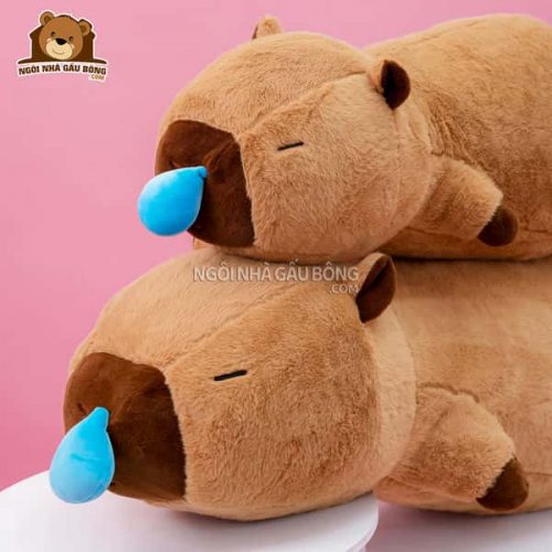 Capybara Nước Mũi Nằm