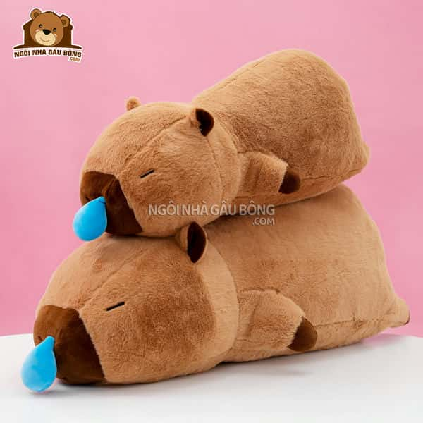 Capybara Nước Mũi Nằm