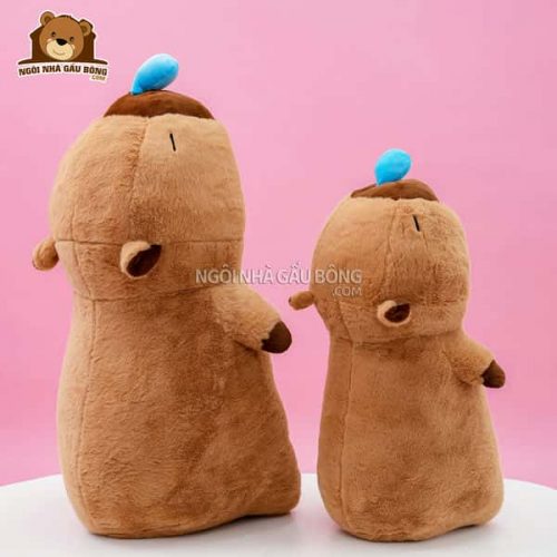 Capybara Nước Mũi Nằm