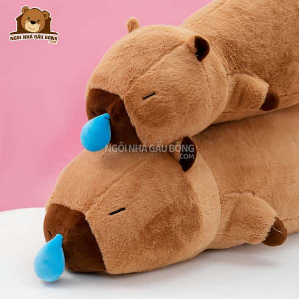 Capybara Nước Mũi Nằm