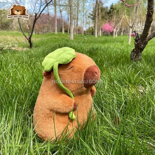 Capybara Cầm Lá