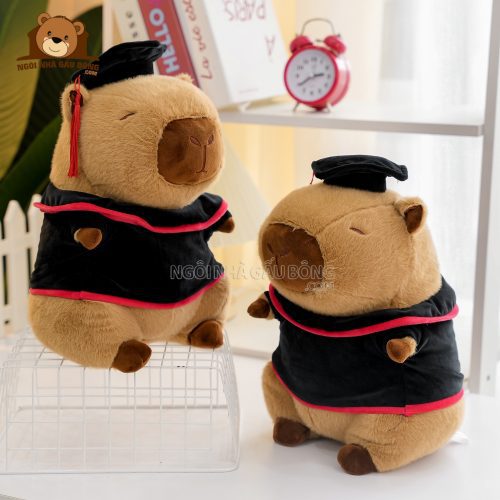 Gấu Tốt Nghiệp Capybara