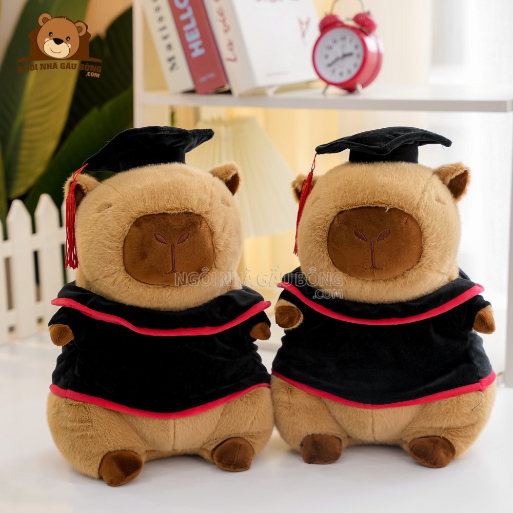 Gấu Tốt Nghiệp Capybara