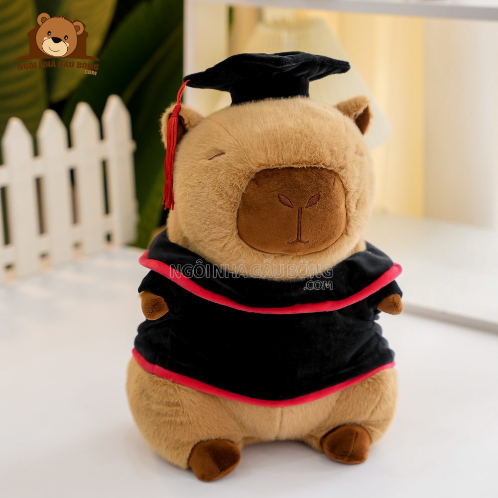 Gấu Tốt Nghiệp Capybara