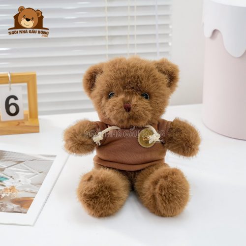 Gấu Bông Teddy Áo Nỉ Tag Love