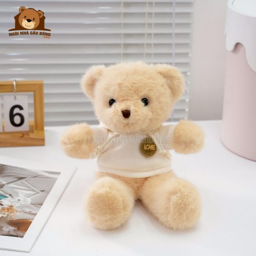 Gấu Bông Teddy Áo Nỉ Tag Love