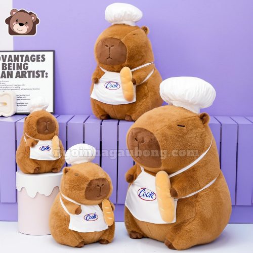 Chuột Capybara Đầu Bếp