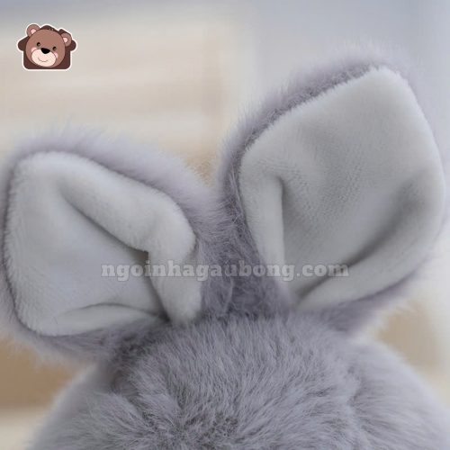Thỏ Ngực Cà Rốt