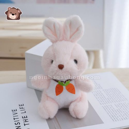 Thỏ Ngực Cà Rốt