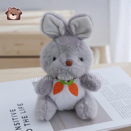 Thỏ Ngực Cà Rốt