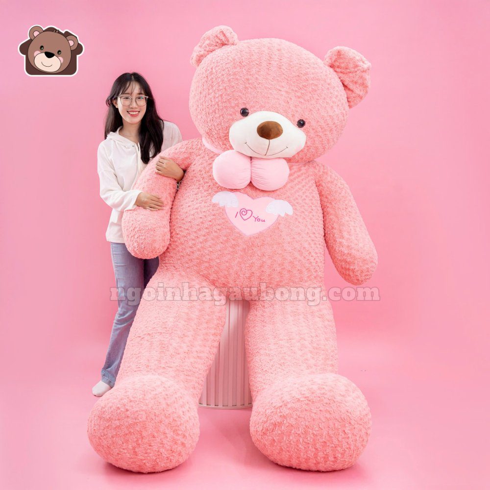 teddy angel hồng (3) Gấu Bông Teddy Angel Hồng Khổng Lồ