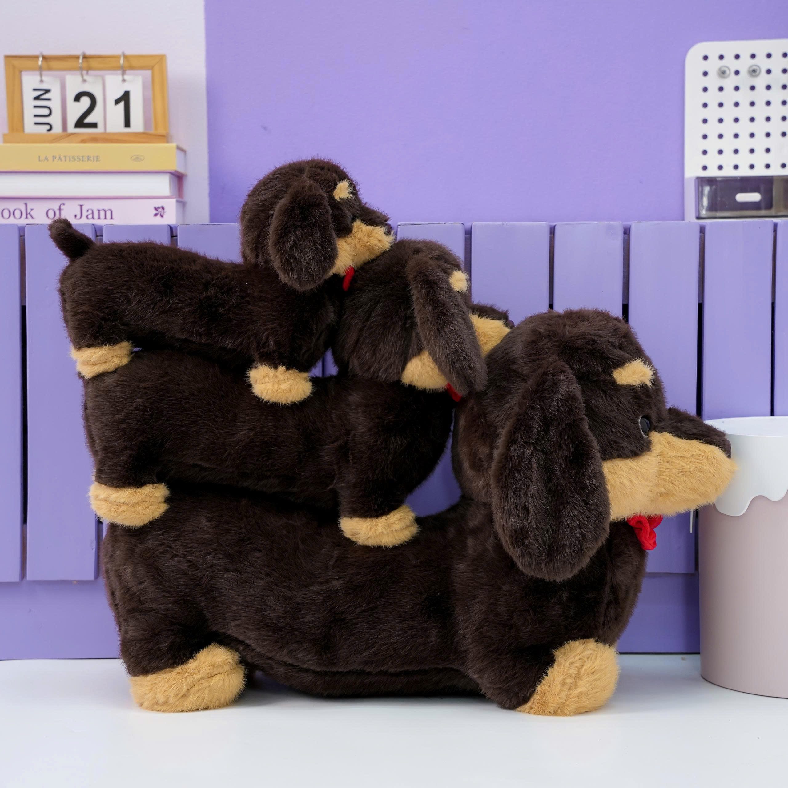 Chó Bông Dachshund Lạp Xưởng