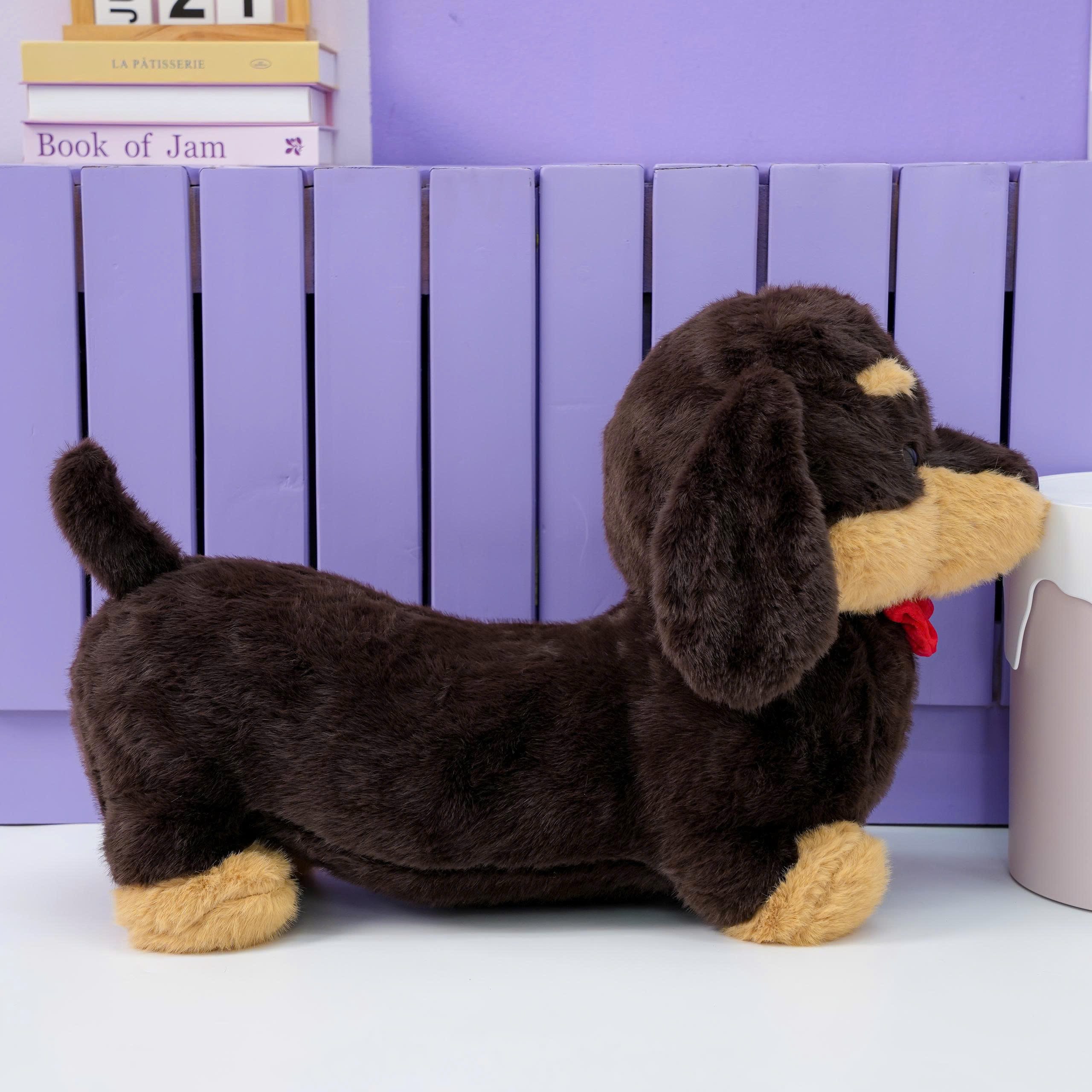 Chó Bông Dachshund Lạp Xưởng
