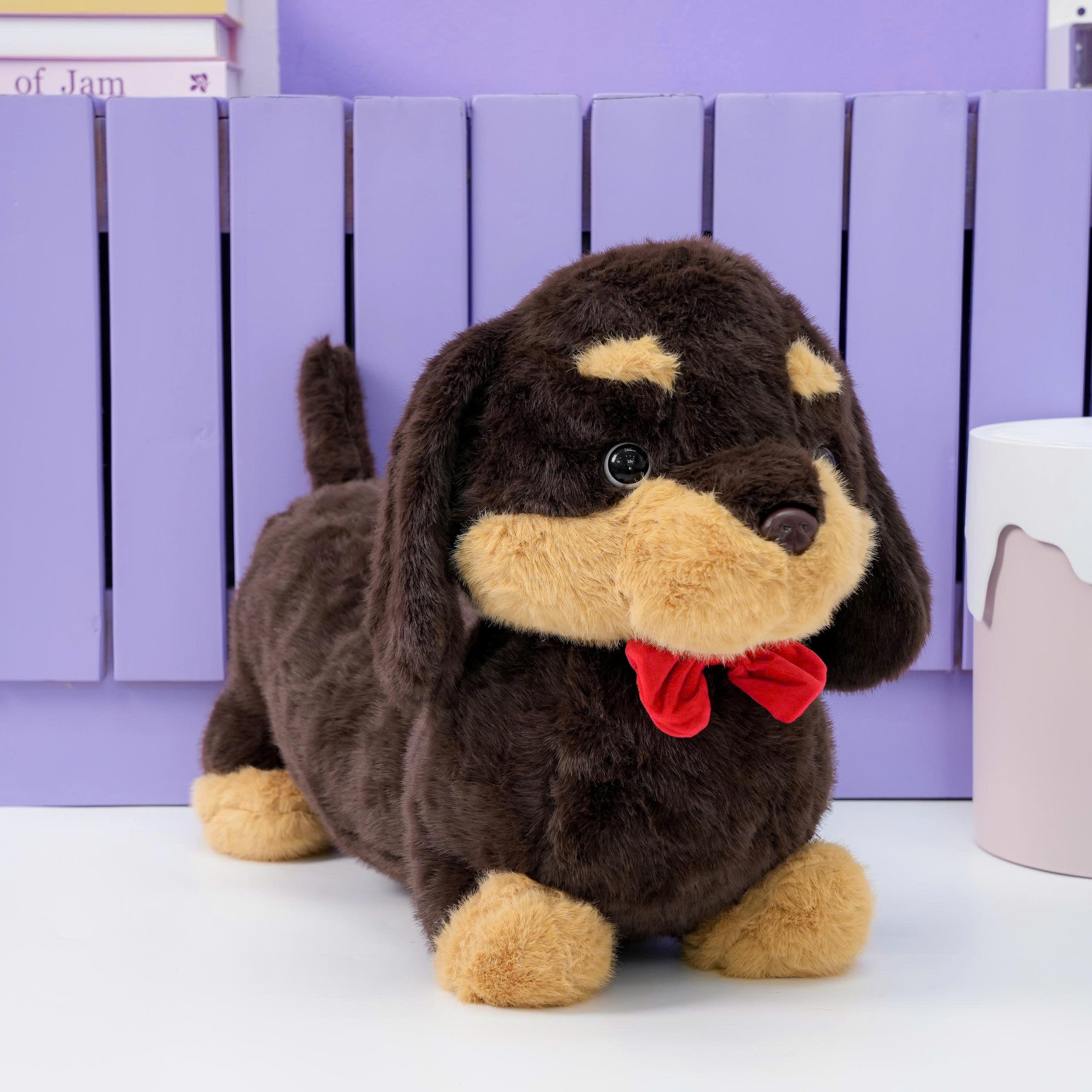 Chó Bông Dachshund Lạp Xưởng