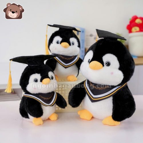 cánh cụt tốt nghiệp đen