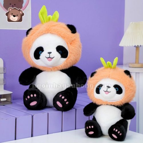 Gấu Trúc Đội Quả