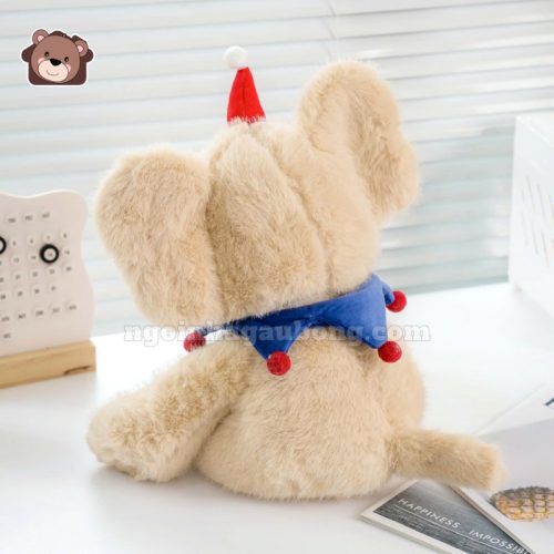 Voi Ngồi Mũ Đỏ