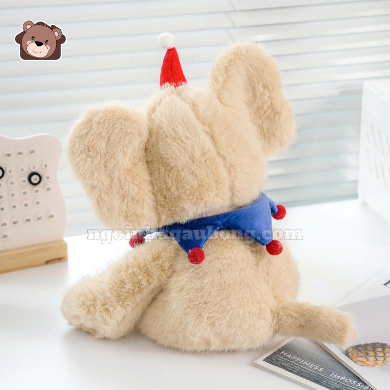 Voi Ngồi Mũ Đỏ