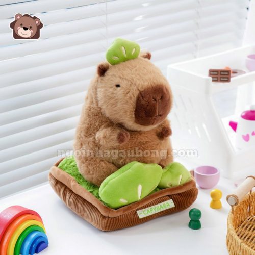 Chậu Cây Capybara Bông