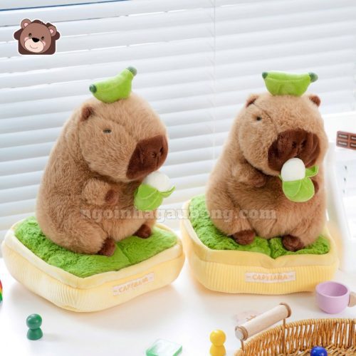 Chậu Cây Capybara Bông