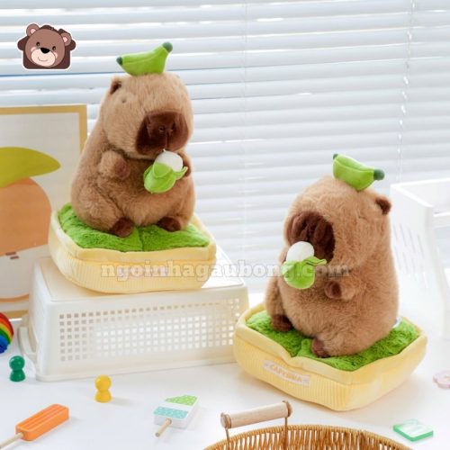 Chậu Cây Capybara Bông