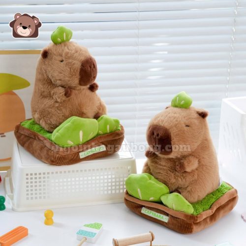 Chậu Cây Capybara Bông