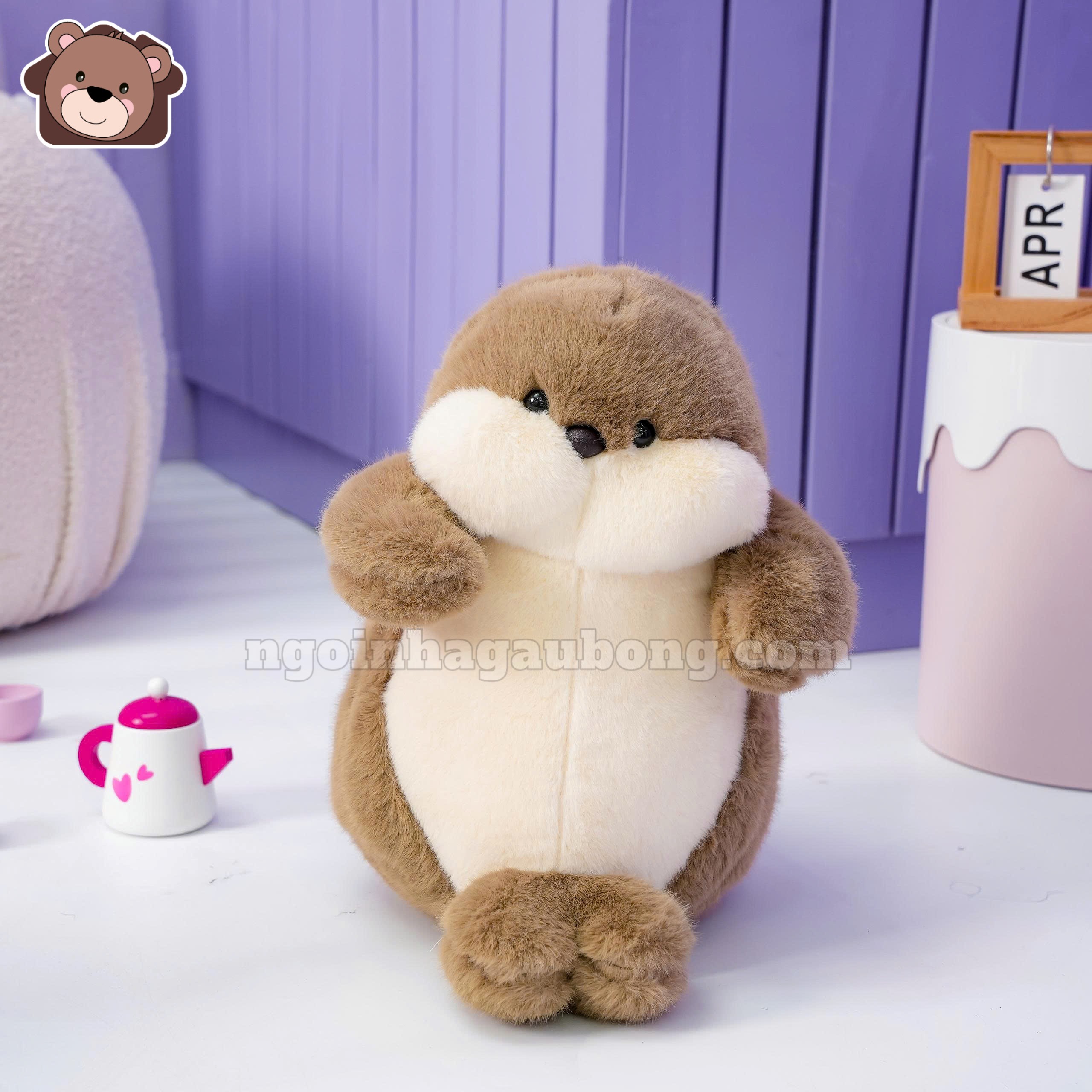 Bộ Tứ Chubby Bụ Bẫm