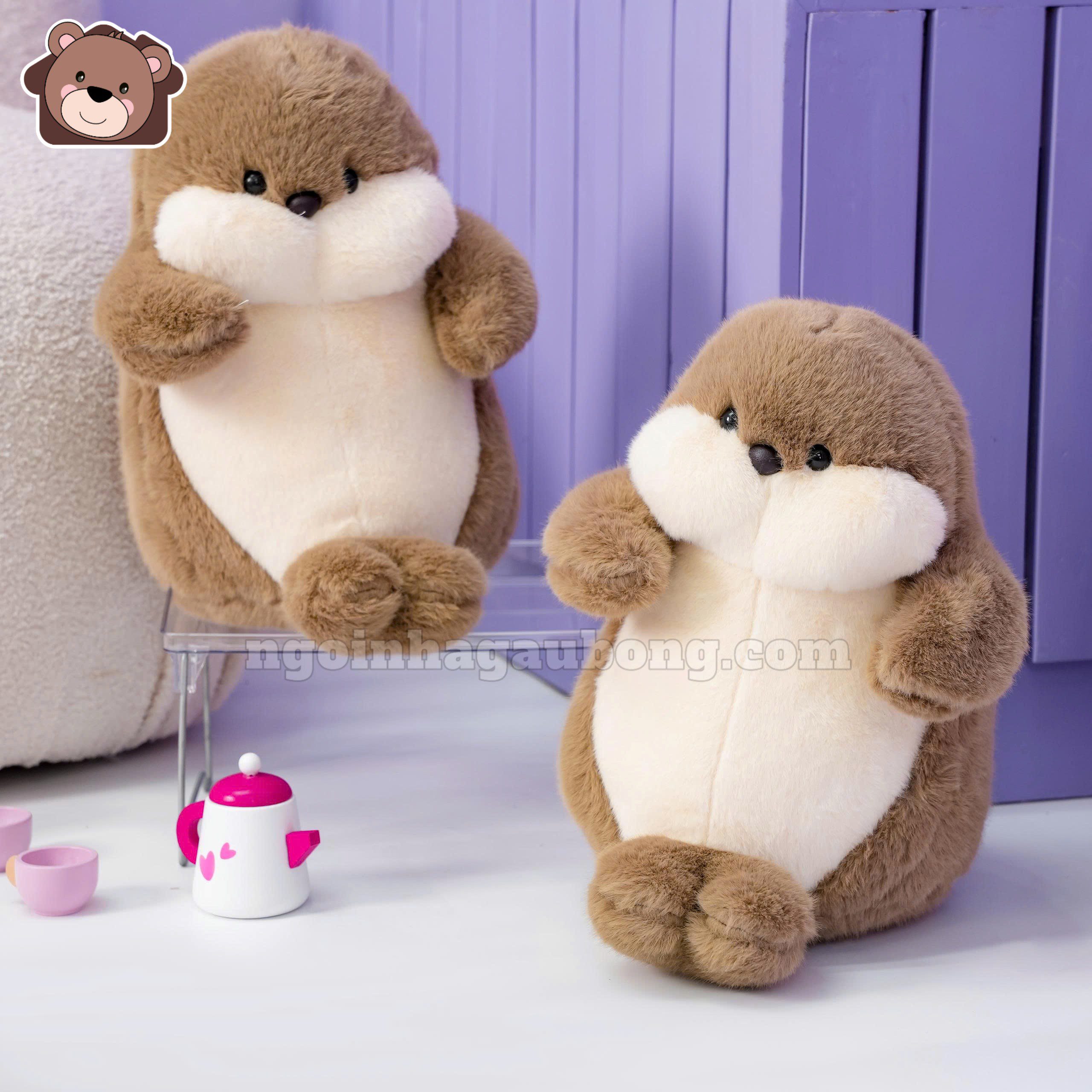 Bộ Tứ Chubby Bụ Bẫm