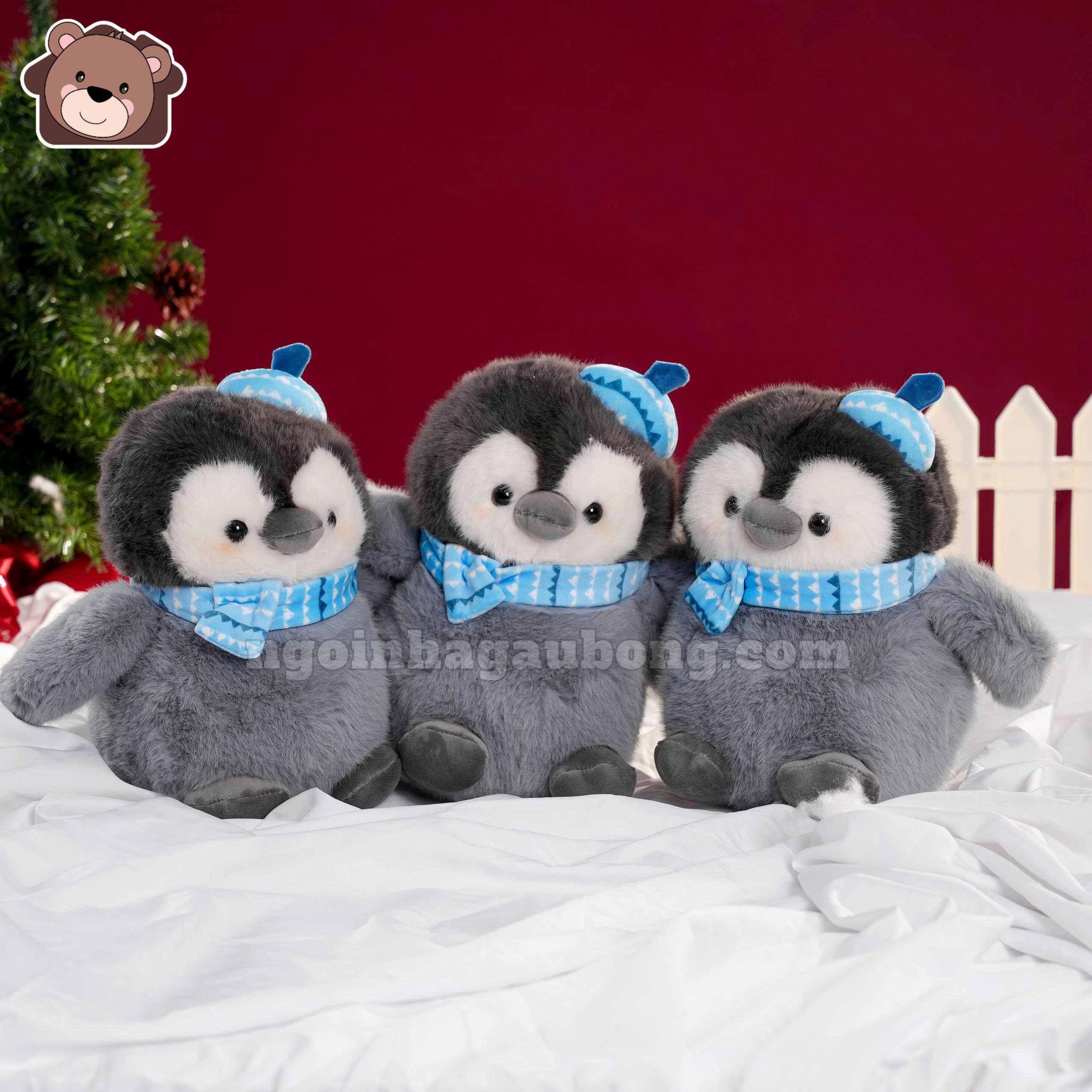 Cánh Cụt Bông Xám