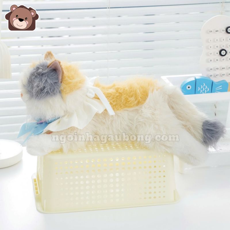 Mèo Bông Tiểu Thư