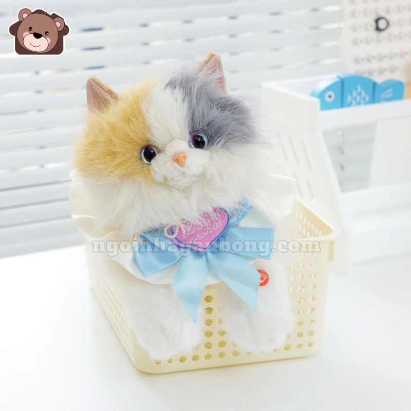 Mèo Bông Tiểu Thư