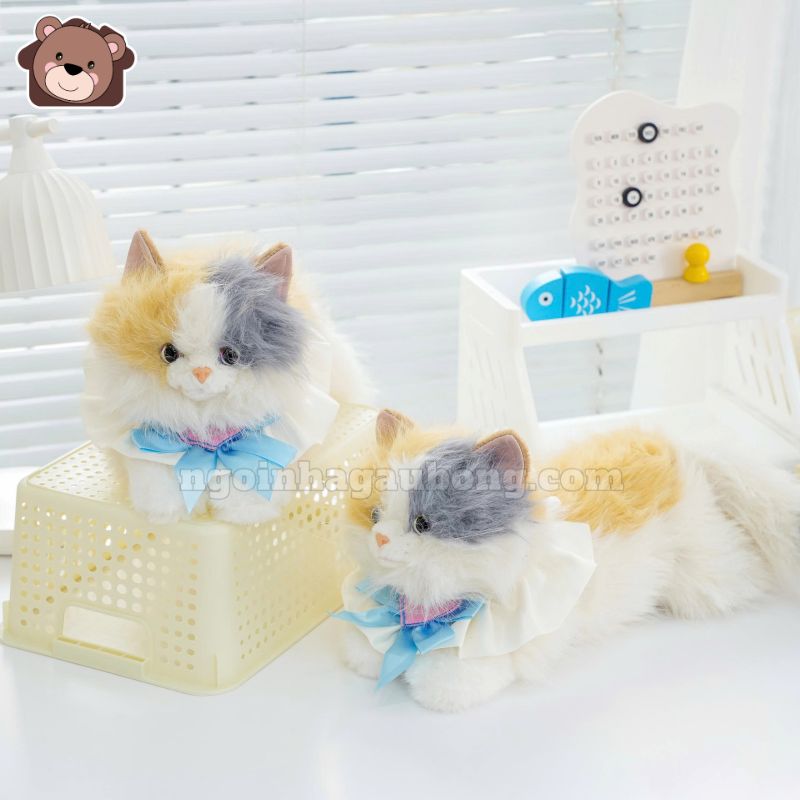 Mèo Bông Tiểu Thư